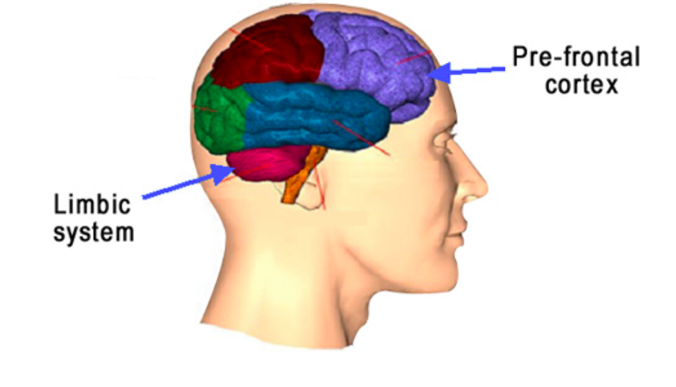 Screen Shot 2016 05 27 At 3.37.56 PM 1