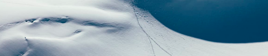 Screen Shot 2016 06 28 At 1.10.40 PM 940x198