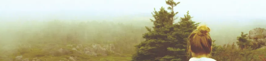 Screen Shot 2016 07 01 At 10.54.35 PM 854x198 1