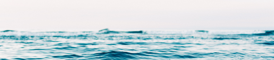 Screen Shot 2016 09 04 At 11.13.01 AM 899x198 1