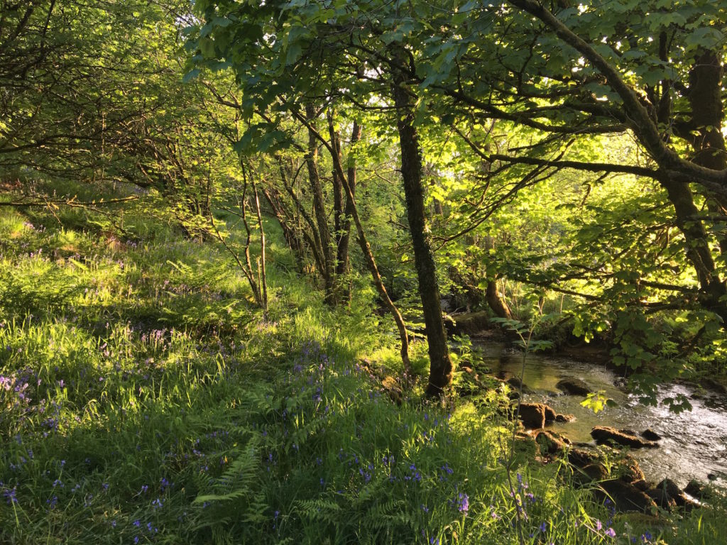 Web Image2 1024x768 1