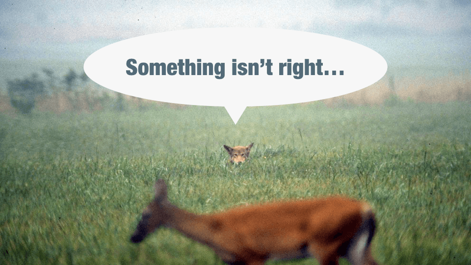 Gut Feeling Might Help You Make Better Decisions